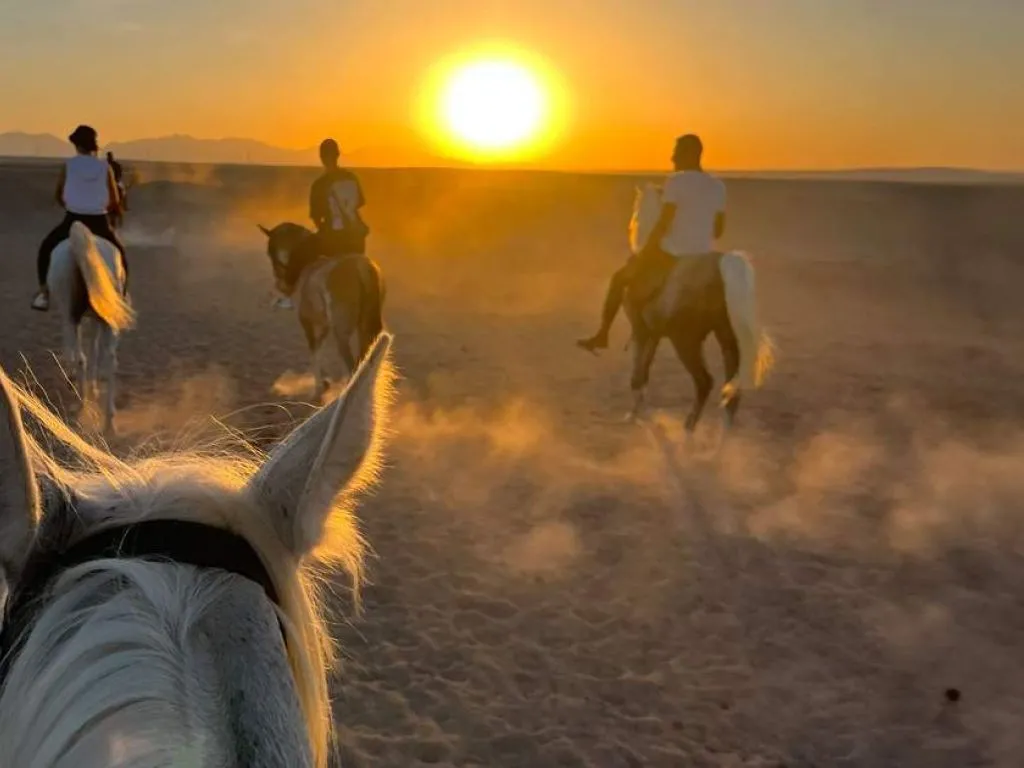 🏇 Horse Safari – Desert Ride in Hurghada Desert, Beach and Sea Tour by Horse with Swimming Hurghada.jpg
